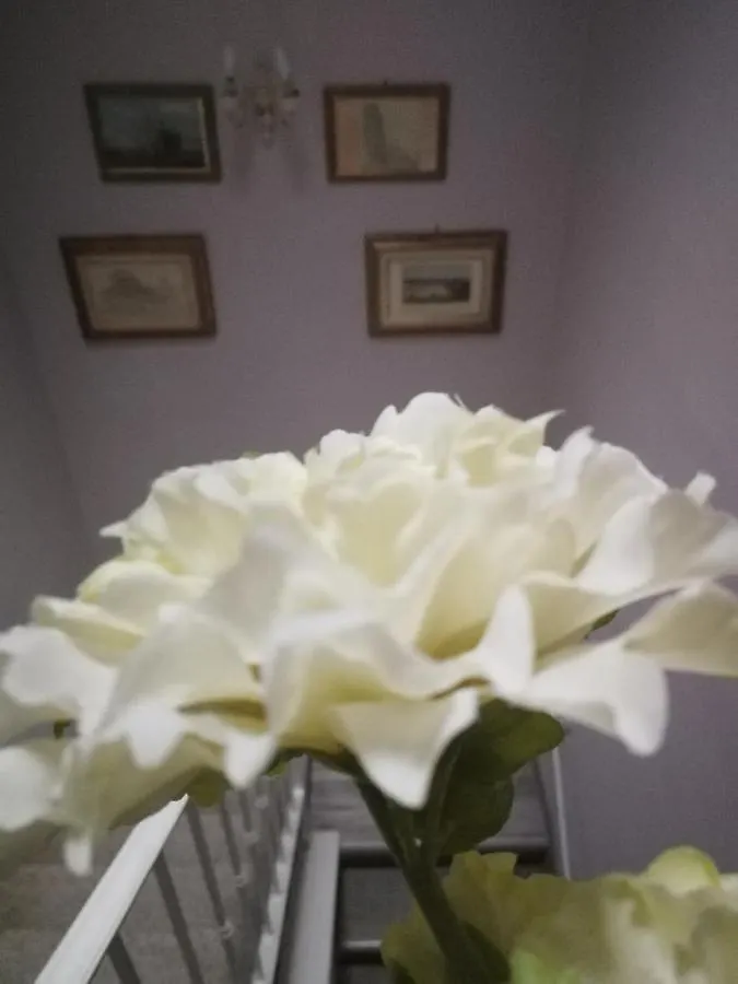 B&B Alex Pisa Italy