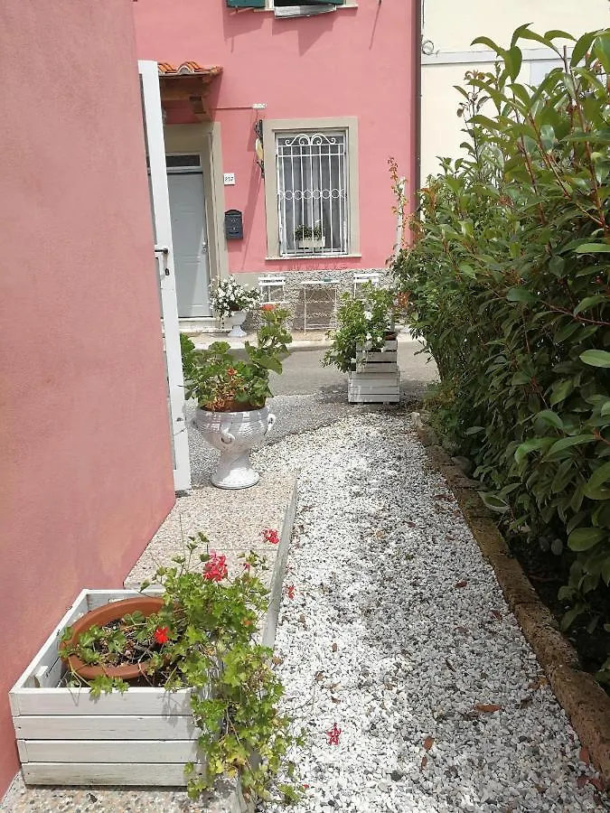 B&B Alex Pisa Bed & Breakfast