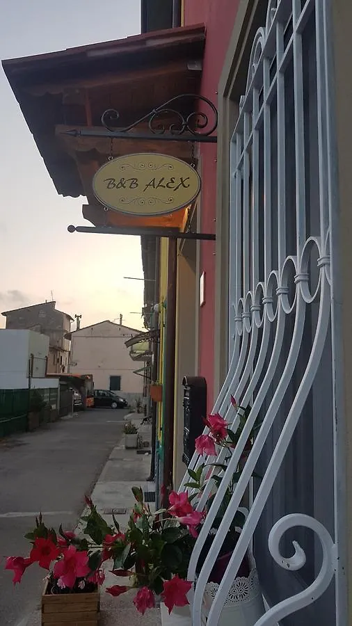 B&B Alex Pisa Bed & Breakfast