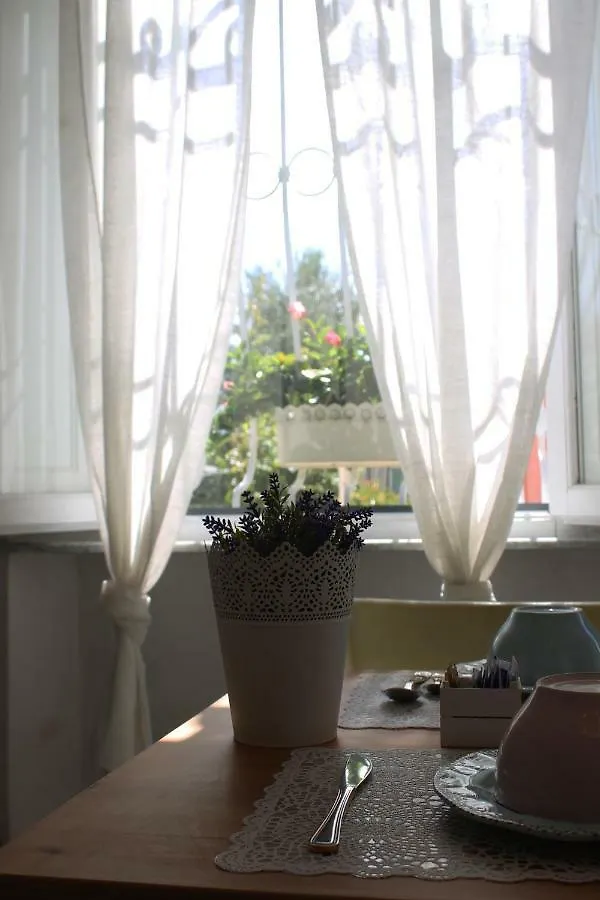 Bed & Breakfast B&B Alex Pisa