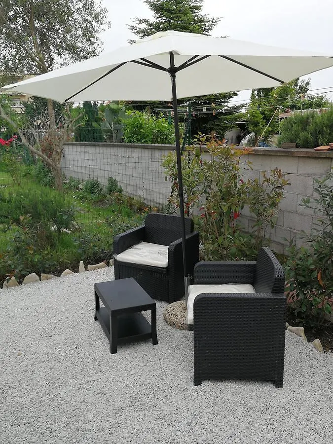 B&B Alex Pisa Bed & Breakfast